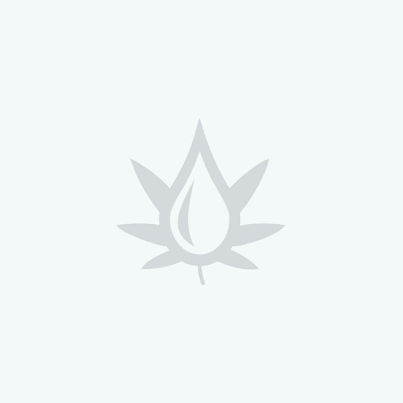 Fatso OCal Live Rosin Concentrate 1g