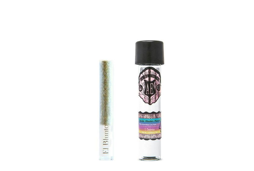El Jointo - Yacht-Master Punch - Hash Infused - 1G [Joint]