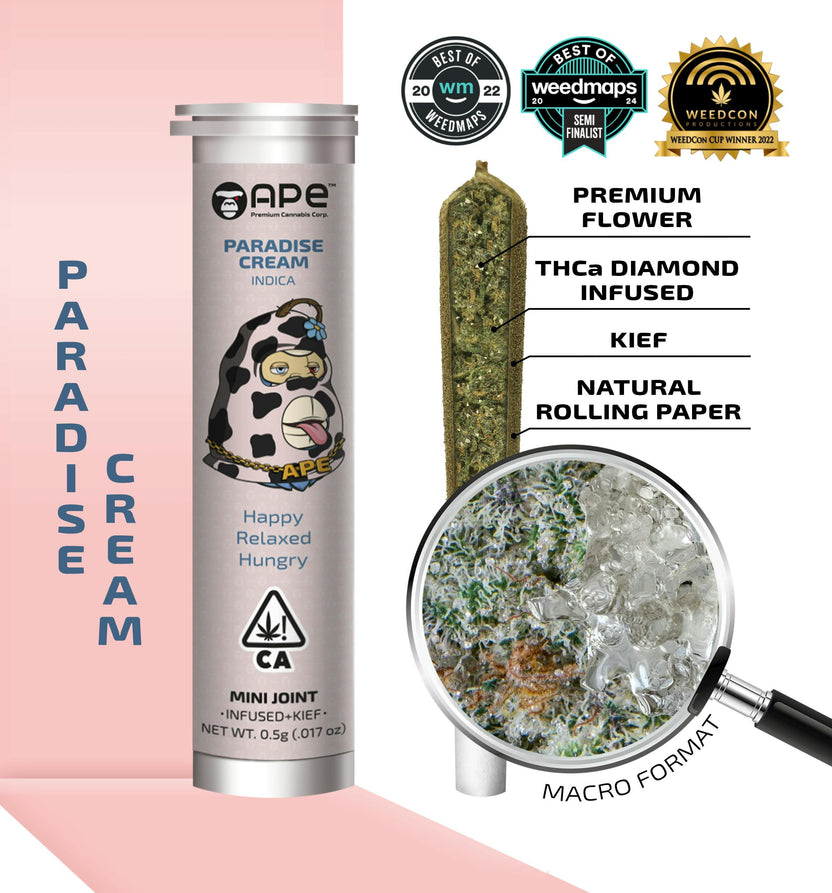 PARADISE CREAM - Mini Joint Infused + Kief (0.5g)