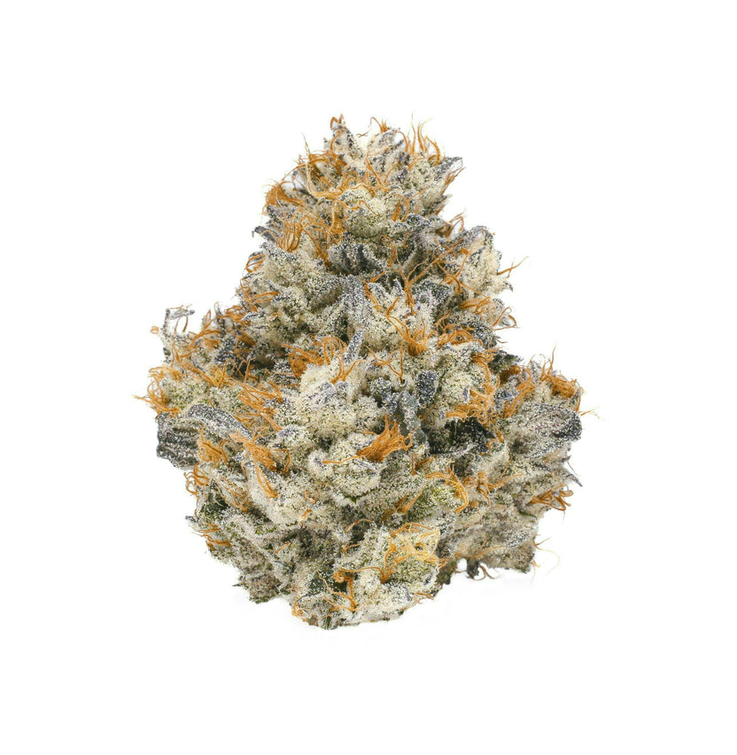 Lemon Cherry Gelato