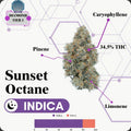TIER 1 FLOWER - SUNSET OCTANE - INDICA