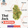 TIER 1 FLOWER - THAI JACK - SATIVA