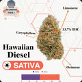 TIER 1 FLOWER - HAWAIIAN DIESEL - SATIVA