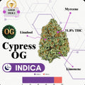 TIER 2 FLOWER - CYPRESS OG - INDICA