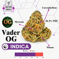 TIER 3 FLOWER - VADER OG - INDICA