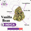 TIER 3 FLOWER - VANILLA BEAN - INDICA