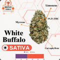 TIER 4 FLOWER - WHITE BUFFALO - SATIVA