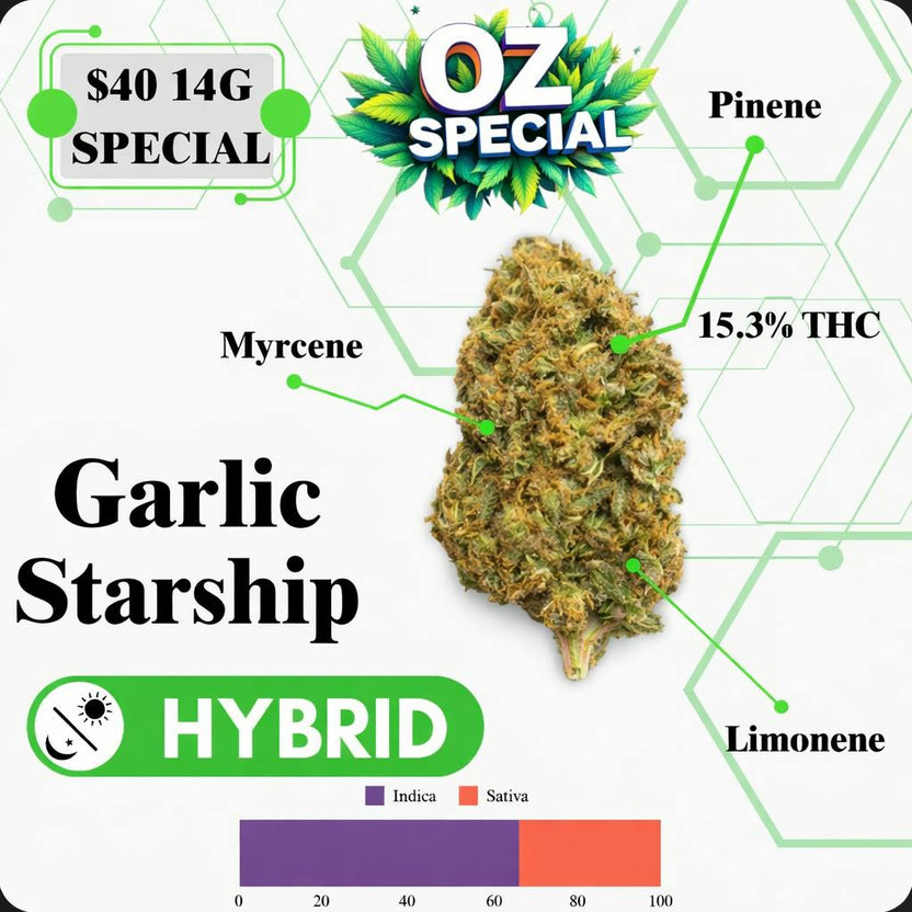 OZ SPECIAL - GARLIC STARSHIP - HYBRID