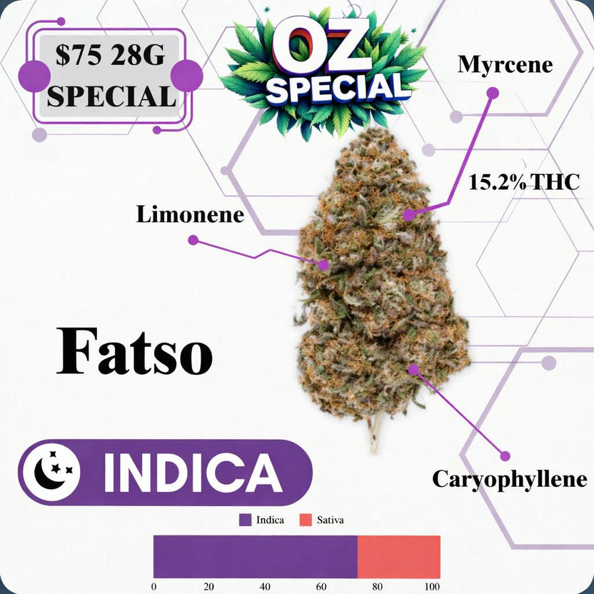 OZ SPECIAL - FATSO - INDICA