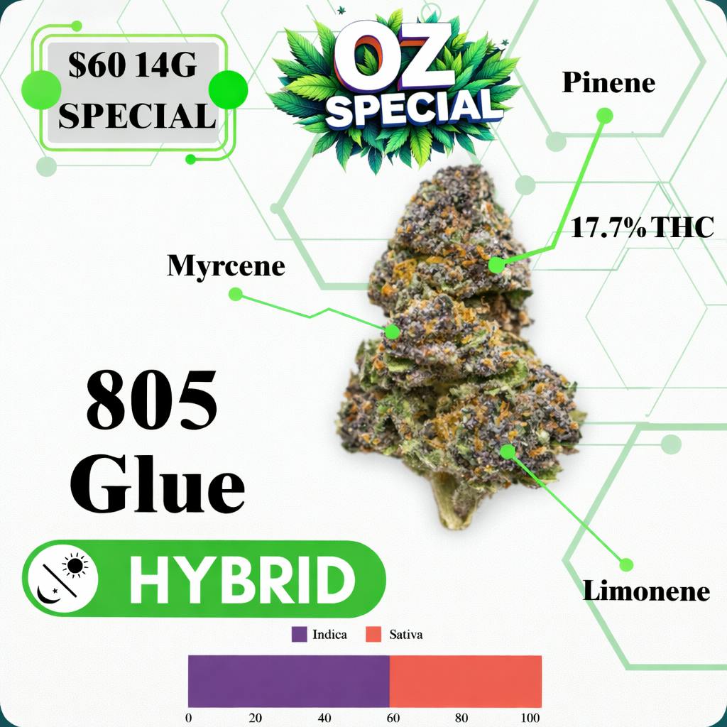 OZ SPECIAL - 805 GLUE - HYBRID