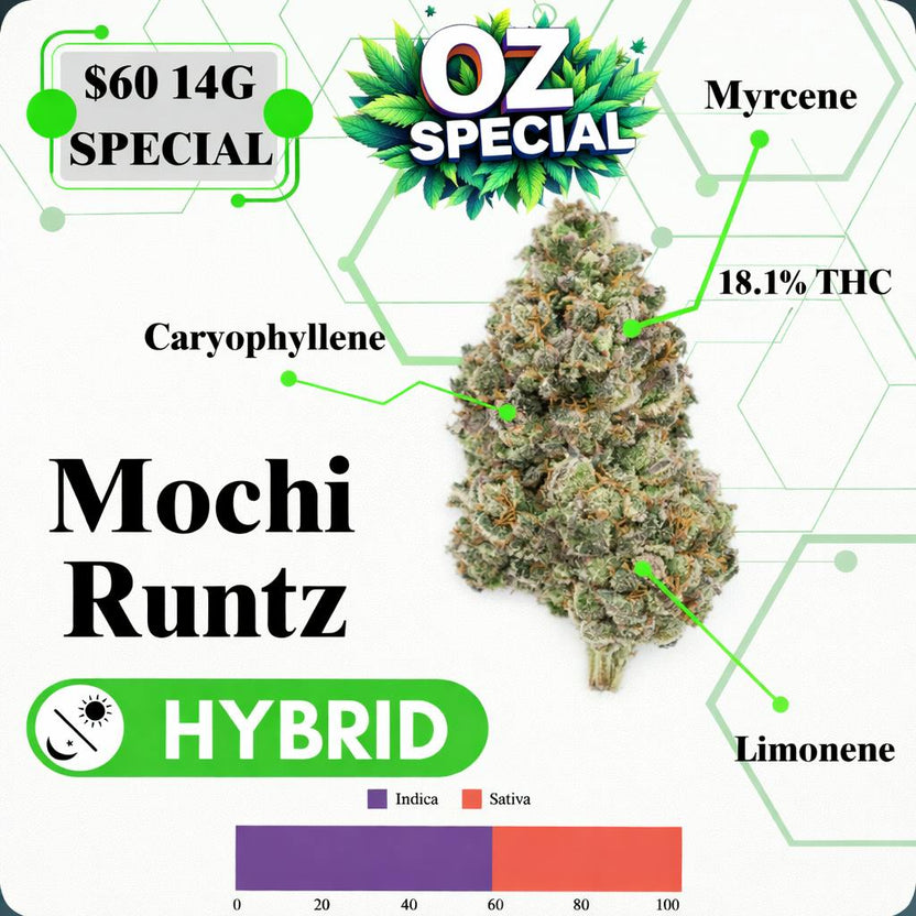 OZ SPECIAL - MOCHI RUNTZ - HYBRID