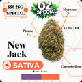 OZ SPECIAL - NEW JACK - SATIVA